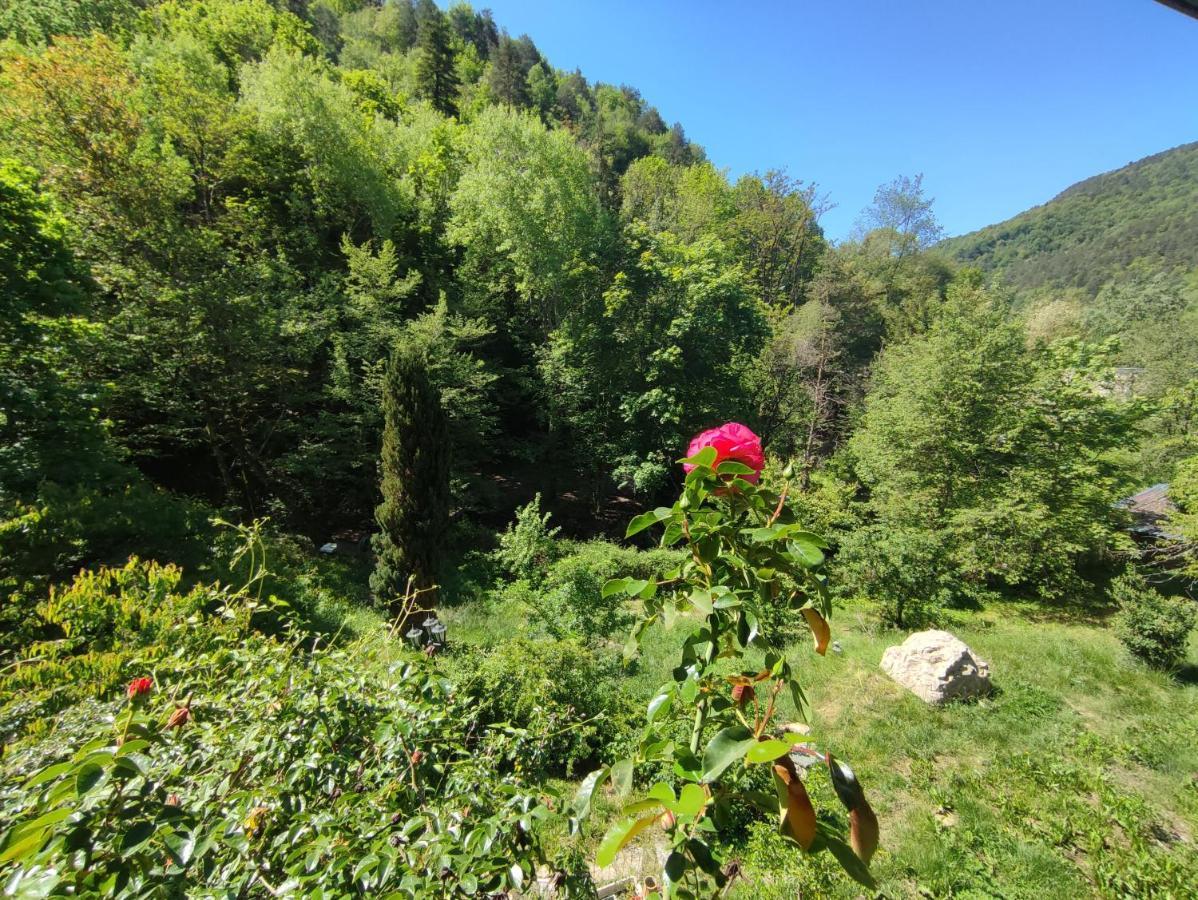 Bed and Breakfast Moulin Vieux La Bollene-Vesubie Екстер'єр фото