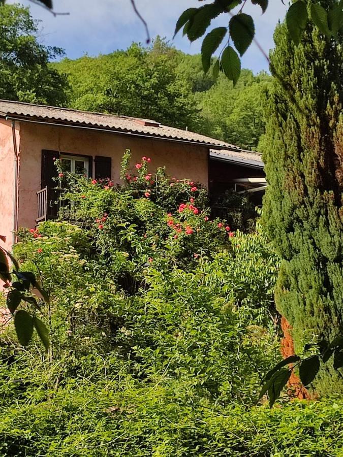 Bed and Breakfast Moulin Vieux La Bollene-Vesubie Екстер'єр фото